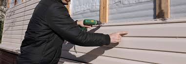 Best Custom Trim and Detailing for Siding  in Dovesville, SC